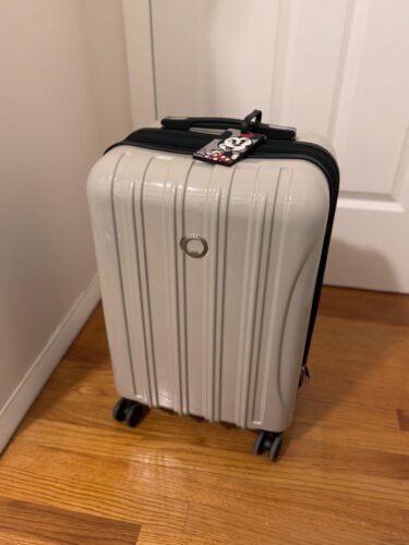 Delsey Luggage Aero 2 Piece Set (21 & 25) Spinner Suitcase (Titanium) photo review