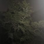 Tuffenough Solar Outdoor Lights 2500LM 210 LED Security Lights with Remote Control.3 Heads Motion Sensor Lights. IP65 Waterproof.270° Wide Angle Flood Wall Lights with 3 Modes(2 Packs) photo review